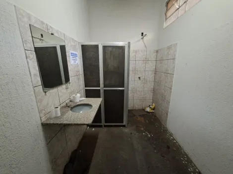 imagem 3 - Comercial - Galpão imagem 3 - Comercial - Galpão