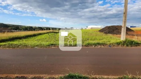 imagem 2 - Terreno Para Venda No Bairro Taiaman imagem 2 - Terreno Para Venda No Bairro Taiaman