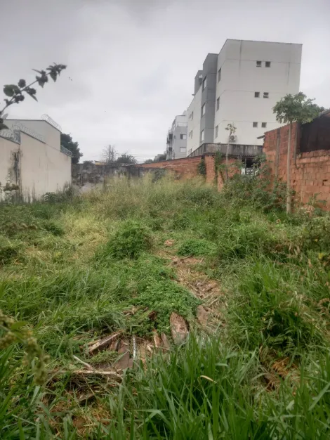 imagem 1 - Terreno Para Venda No Bairro Santa Monica imagem 1 - Terreno Para Venda No Bairro Santa Monica