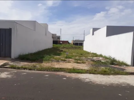 imagem 1 - Terreno Para Venda No Bairro Laranjeiras imagem 1 - Terreno Para Venda No Bairro Laranjeiras