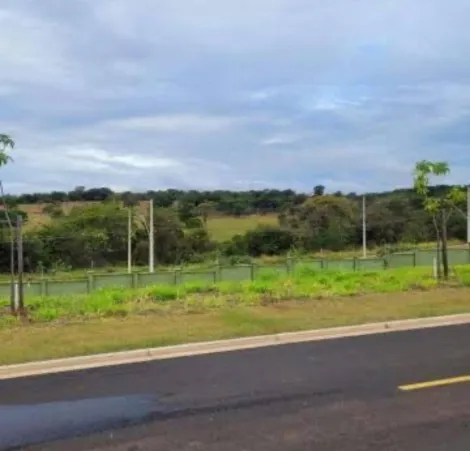 imagem 1 - Terreno Para Venda No Bairro Marta Helena imagem 1 - Terreno Para Venda No Bairro Marta Helena