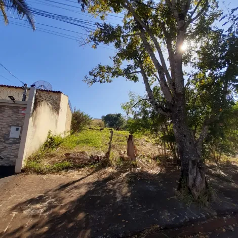 imagem 4 - Terreno Para Venda No Bairro Cidade Jardim imagem 4 - Terreno Para Venda No Bairro Cidade Jardim