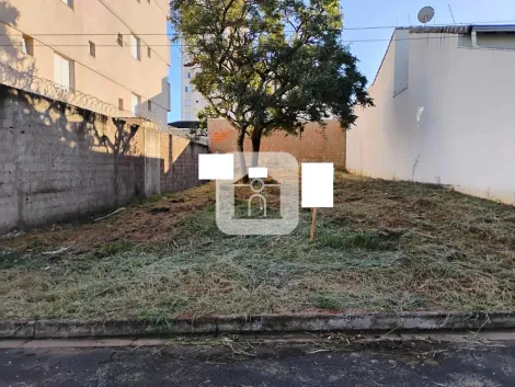 imagem 2 - Terreno Para Venda Bairro Bosque Buritis Em Uberlândia imagem 2 - Terreno Para Venda Bairro Bosque Buritis Em Uberlândia
