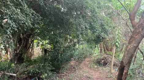 imagem 2 - Terreno Para Venda No Distrito de Tapuirama imagem 2 - Terreno Para Venda No Distrito de Tapuirama