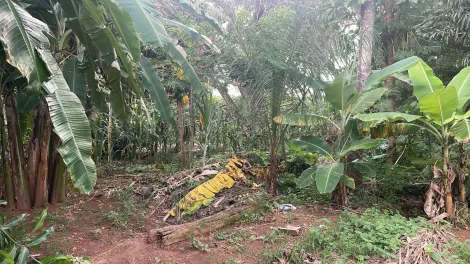 imagem 3 - Terreno Para Venda No Distrito de Tapuirama imagem 3 - Terreno Para Venda No Distrito de Tapuirama