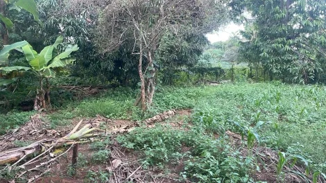 imagem 1 - Terreno Para Venda No Distrito de Tapuirama imagem 1 - Terreno Para Venda No Distrito de Tapuirama