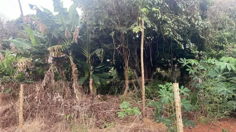 imagem 4 - Terreno Para Venda No Distrito de Tapuirama imagem 4 - Terreno Para Venda No Distrito de Tapuirama