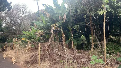 imagem 5 - Terreno Para Venda No Distrito de Tapuirama imagem 5 - Terreno Para Venda No Distrito de Tapuirama