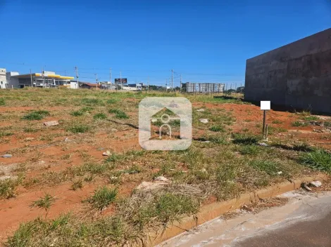 imagem 5 - Terreno Para Venda No Bairro Aclimação imagem 5 - Terreno Para Venda No Bairro Aclimação