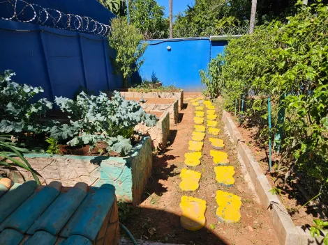 imagem 5 - Chácara Para Venda No Bairro Chácara Douradinho I imagem 5 - Chácara Para Venda No Bairro Chácara Douradinho I