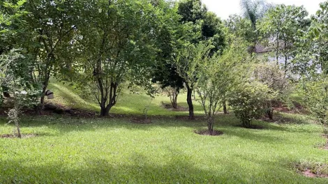 imagem 5 - Rural - Rancho imagem 5 - Rural - Rancho