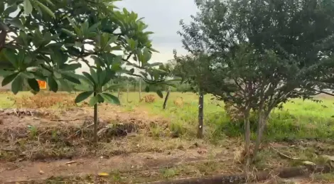 imagem 1 - Terreno Para Venda No Bairro Shopping Park imagem 1 - Terreno Para Venda No Bairro Shopping Park