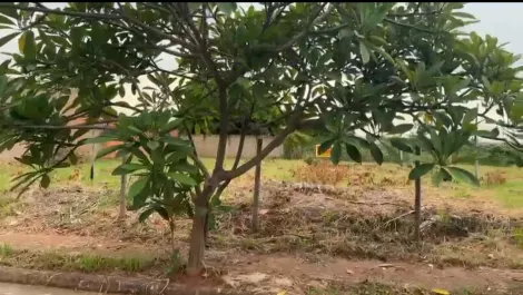 imagem 2 - Terreno Para Venda No Bairro Shopping Park imagem 2 - Terreno Para Venda No Bairro Shopping Park