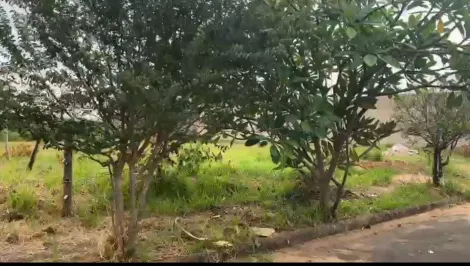 imagem 3 - Terreno Para Venda No Bairro Shopping Park imagem 3 - Terreno Para Venda No Bairro Shopping Park