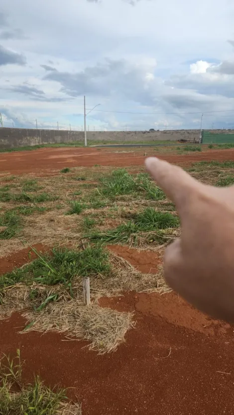 imagem 5 - Terreno Para Venda No Bairro Novo Mundo imagem 5 - Terreno Para Venda No Bairro Novo Mundo