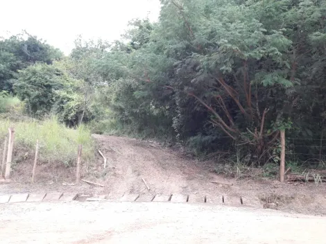 imagem 3 - Chácara Para venda Na Área Rural de Araguari imagem 3 - Chácara Para venda Na Área Rural de Araguari