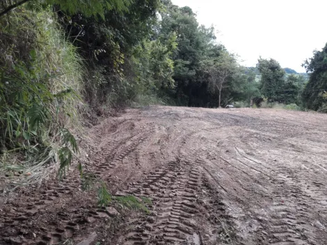 imagem 5 - Chácara Para venda Na Área Rural de Araguari imagem 5 - Chácara Para venda Na Área Rural de Araguari