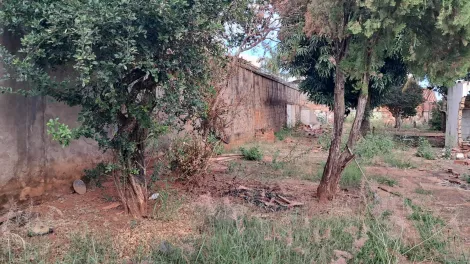 imagem 1 - Terreno Para Venda No Bairro Jardim Finotti imagem 1 - Terreno Para Venda No Bairro Jardim Finotti