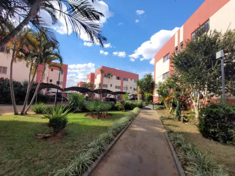 imagem 1 - Apartamento Para Venda No Bairro Jardim dos Gravatás imagem 1 - Apartamento Para Venda No Bairro Jardim dos Gravatás