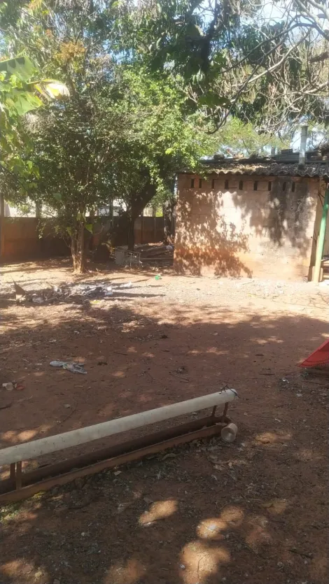 imagem 5 - Chácara para venda no bairro Morada Nova VI imagem 5 - Chácara para venda no bairro Morada Nova VI