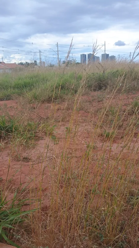 imagem 1 - Terreno Para Venda No Bairro Jardim Sul imagem 1 - Terreno Para Venda No Bairro Jardim Sul