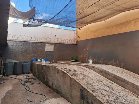 imagem 3 - Comercial - Barracão imagem 3 - Comercial - Barracão