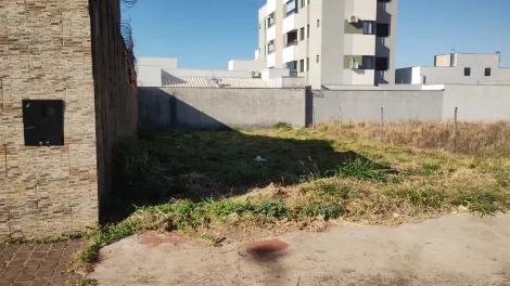 imagem 5 - Terreno para venda no bairro Novo Mundo imagem 5 - Terreno para venda no bairro Novo Mundo