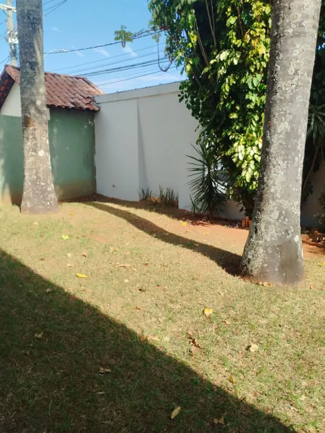 imagem 4 - Cômodo comercial Para Locação no Bairro Jardim Karaiba imagem 4 - Cômodo comercial Para Locação no Bairro Jardim Karaiba