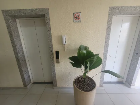 imagem 4 - Apartamento para locação no bairro Jardim Patrícia imagem 4 - Apartamento para locação no bairro Jardim Patrícia