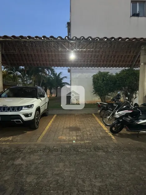 imagem 1 - Apartamento para venda no bairro Jardim Ozanan imagem 1 - Apartamento para venda no bairro Jardim Ozanan