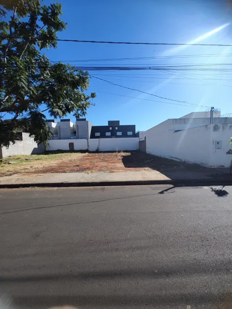imagem 1 - Terreno - Padrão imagem 1 - Terreno - Padrão