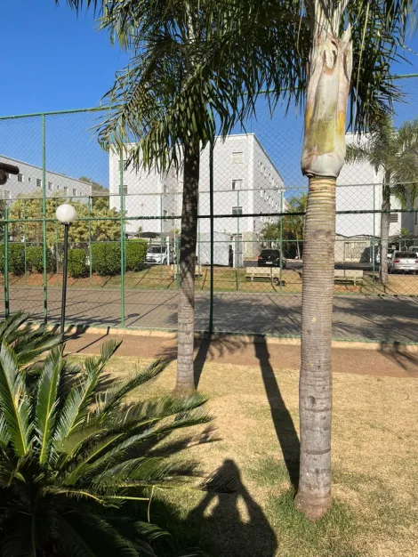 imagem 5 - Apartamento - Padrão imagem 5 - Apartamento - Padrão
