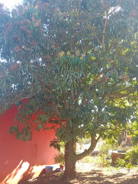 imagem 3 - chácara na zona rural para venda imagem 3 - chácara na zona rural para venda