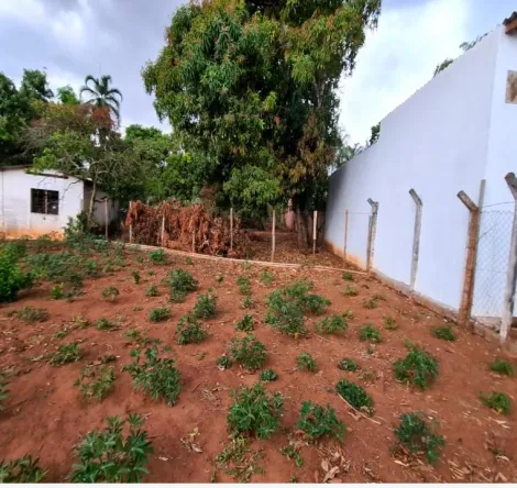 imagem 4 - Chácara para venda no bairro Parque das Américas imagem 4 - Chácara para venda no bairro Parque das Américas