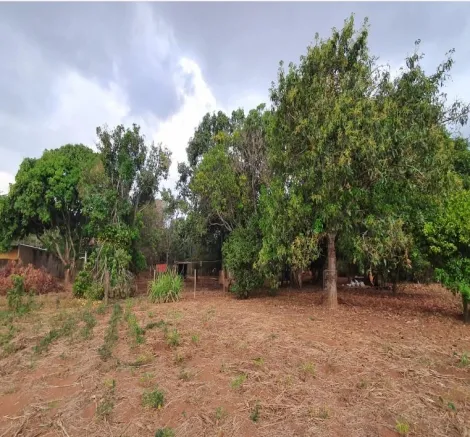 imagem 5 - Chácara para venda no bairro Parque das Américas imagem 5 - Chácara para venda no bairro Parque das Américas