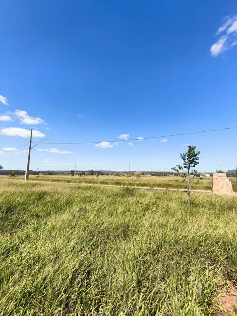 imagem 1 - Terreno para venda no bairro Laranjeiras imagem 1 - Terreno para venda no bairro Laranjeiras