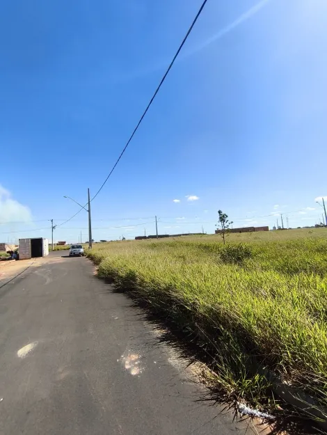 imagem 2 - Terreno para venda no bairro Laranjeiras imagem 2 - Terreno para venda no bairro Laranjeiras