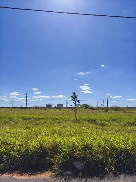 imagem 3 - Terreno para venda no bairro Laranjeiras imagem 3 - Terreno para venda no bairro Laranjeiras