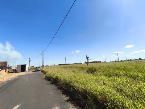 imagem 4 - Terreno para venda no bairro Laranjeiras imagem 4 - Terreno para venda no bairro Laranjeiras