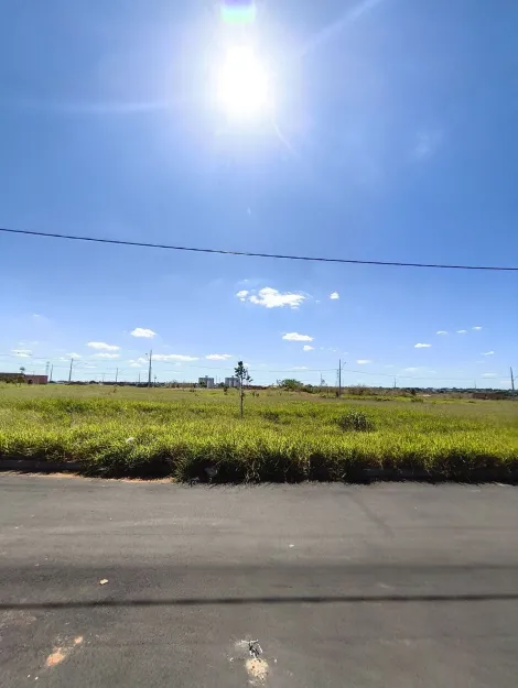 imagem 5 - Terreno para venda no bairro Laranjeiras imagem 5 - Terreno para venda no bairro Laranjeiras