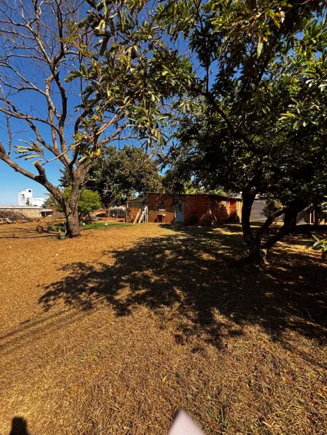 imagem 4 - Casa - Chácara imagem 4 - Casa - Chácara
