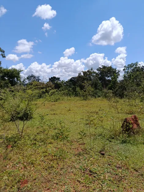 imagem 1 - Sítio para venda na zona rural imagem 1 - Sítio para venda na zona rural