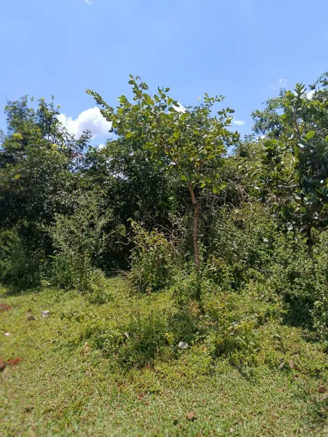 imagem 2 - Sítio para venda na zona rural imagem 2 - Sítio para venda na zona rural