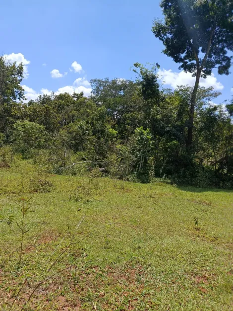 imagem 3 - Sítio para venda na zona rural imagem 3 - Sítio para venda na zona rural