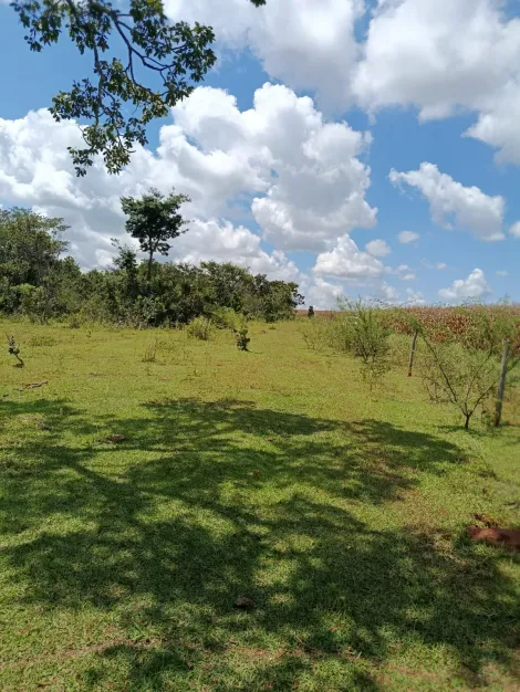imagem 4 - Sítio para venda na zona rural imagem 4 - Sítio para venda na zona rural