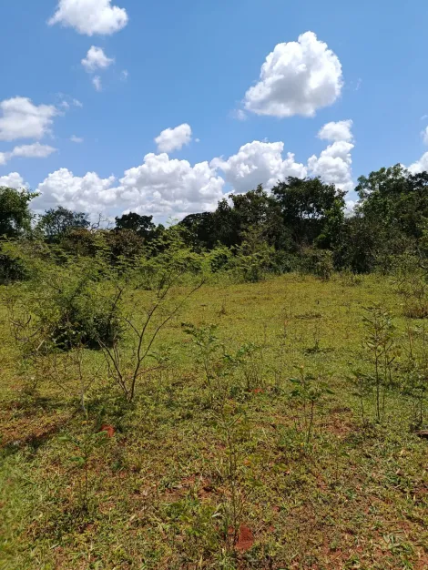 imagem 5 - Sítio para venda na zona rural imagem 5 - Sítio para venda na zona rural
