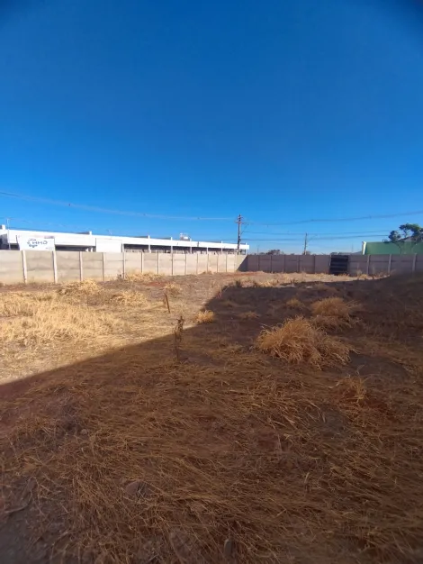 imagem 2 - Terreno para locação Bairro Novo Mundo imagem 2 - Terreno para locação Bairro Novo Mundo