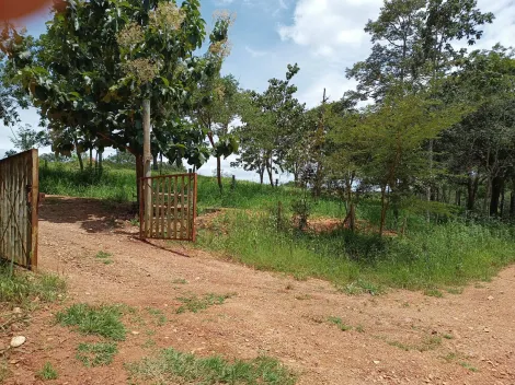 imagem 1 - Sítio para venda na cidade Araguari Minas Gerais imagem 1 - Sítio para venda na cidade Araguari Minas Gerais