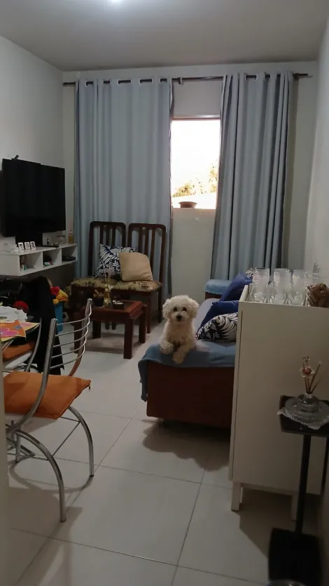 imagem 3 - Apartamento para venda Chácaras Tubalina Quartel imagem 3 - Apartamento para venda Chácaras Tubalina Quartel