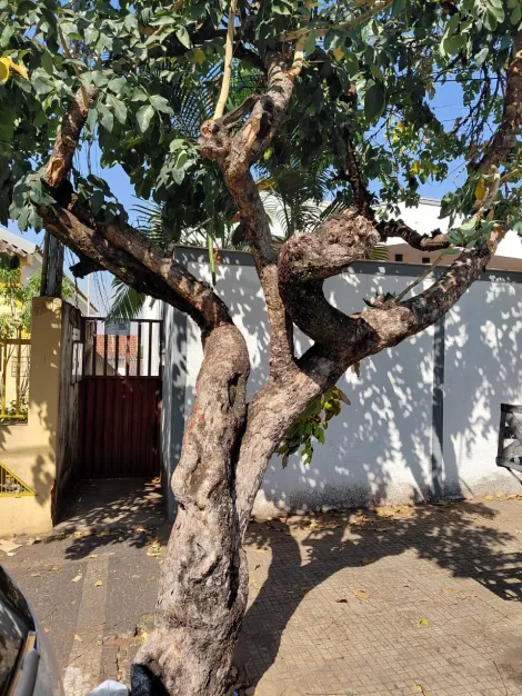 imagem 1 - Casa para venda no bairro Lidice imagem 1 - Casa para venda no bairro Lidice